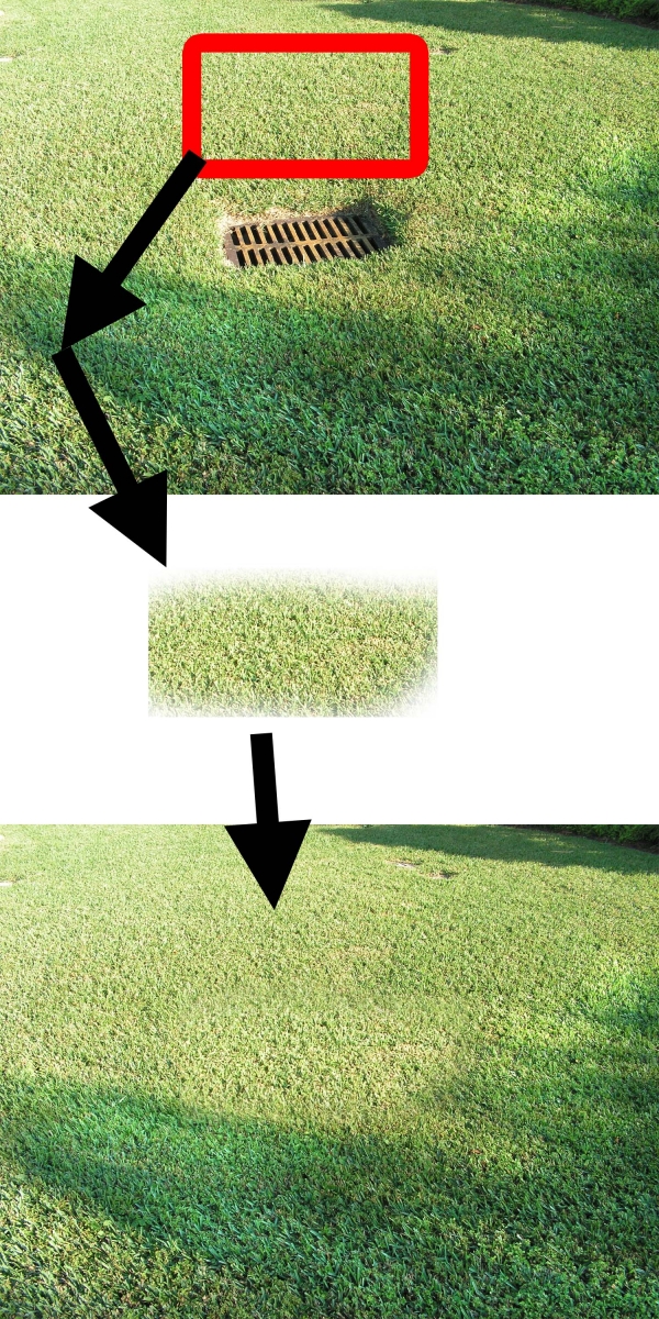 Creation of Red's Turn: Step 2